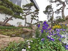 -罗红摄影艺术馆