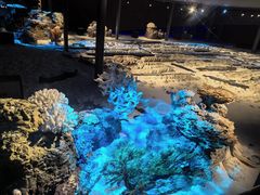 -中国（海南）南海博物馆