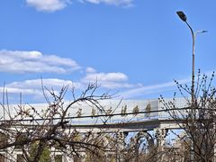 -黑龙江省森林植物园