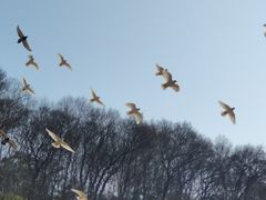 -音乐台