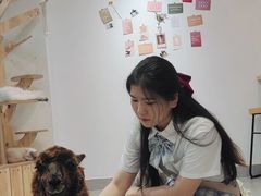 -Heymao猫咖.咖啡厅(东门店)