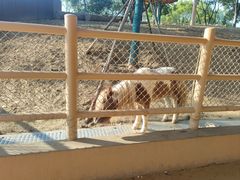 -荆州中山公园动物园