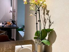 大堂-BOCATA 西班牙餐厅(三里屯店)