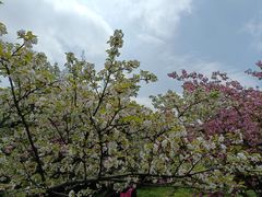 -苏州上方山国家森林公园