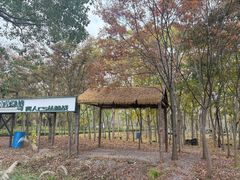 -嘉北郊野公园