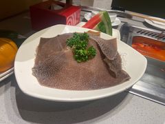 -海底捞火锅(吾悦广场店)