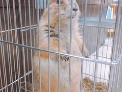 -乐宠宠物店(世纪金源店)