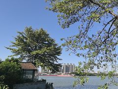 -喜洲吧·江畔老船厂·庭院餐厅(喜临院店)