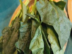 -慢丽江·云南野生菌土鸡锅(付家庄店)