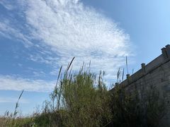 -宁波杭州湾国家湿地公园