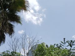-南山植物园