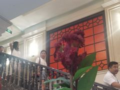 -大鸭梨烤鸭(左家庄店)