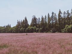 -嘉北郊野公园