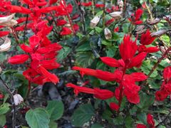 -漩门湾国家湿地公园