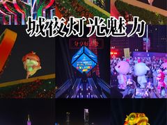 -海心沙亚运公园