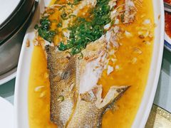-三强鸽子(中原路店)