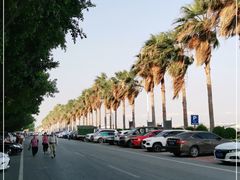 -南沙十九涌渔人码头-南门