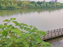-眉山湿地公园(东坡区)