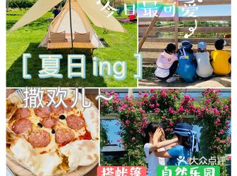 圣露庄园～遛娃实战攻略