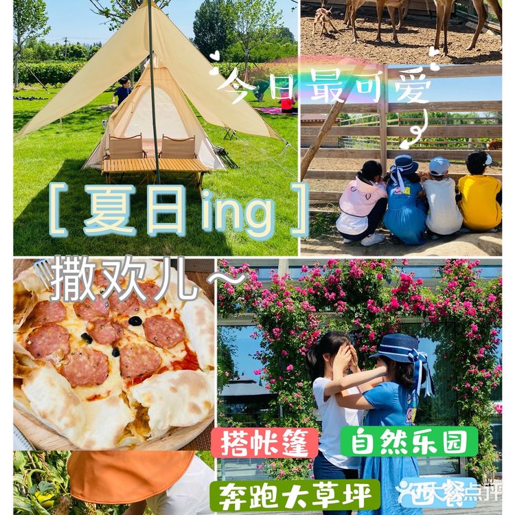 圣露庄园～遛娃实战攻略