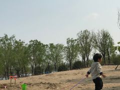 -东郊湿地公园