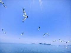 -长岛南北长山旅游景区
