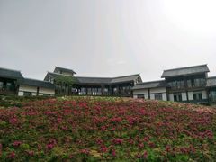 -金卉庄园