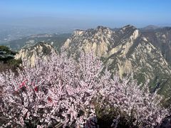 -华山风景名胜区
