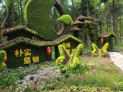 -东平国家森林公园
