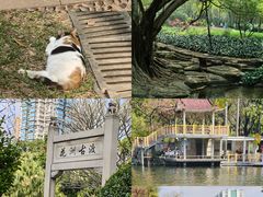 -晓港公园