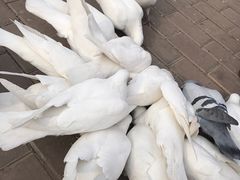 -王府井奥莱临潼小镇(临潼店)