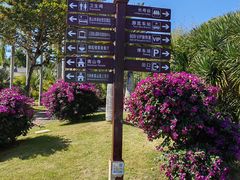 -三亚南山文化旅游区