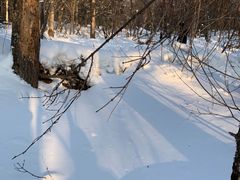 -雪谷