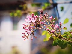 -山东大学(趵突泉校区)