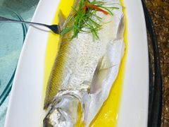 -福成厚江鱼壹号黑金冠好店(群力店)