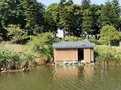 -映月湖公园