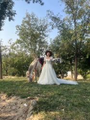 -北京燕尔婚礼策划