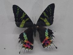 -郑州自然博物馆(惠济区)