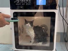 -全心全意动物诊疗中心医院(北苑店)