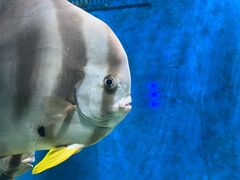 -合肥海洋世界