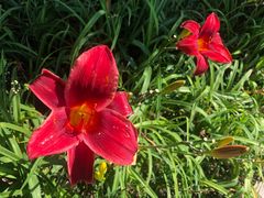 -安徽阜阳卷馍(西单店)