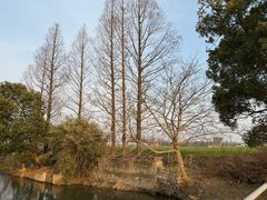 -嘉北郊野公园