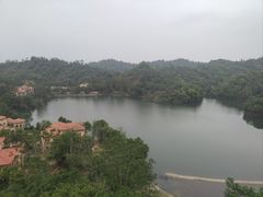 -河源万绿湖美思威尔顿酒店
