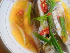 -天鹅到家·保姆月嫂育儿嫂(蔚蓝海岸店)
