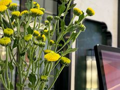 -南堂馆·新川菜(春熙路店)