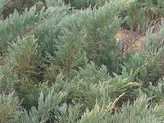 -森林公园(尖草坪区)