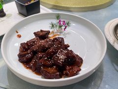 -丁老爷子苏香圆