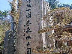 -妙道山国家森林公园