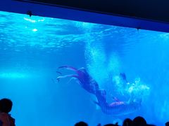 -常州海昌海洋探索馆