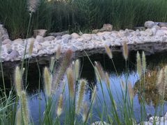 -中家鑫园温泉酒店鑫悦汤泉